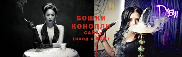 ГАЛЛЮЦИНОГЕННЫЕ ГРИБЫ Горно-Алтайск