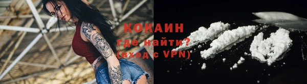 ГАЛЛЮЦИНОГЕННЫЕ ГРИБЫ Горно-Алтайск
