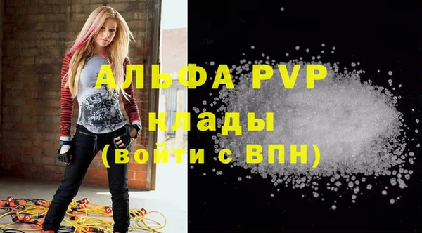 ГАЛЛЮЦИНОГЕННЫЕ ГРИБЫ Горно-Алтайск