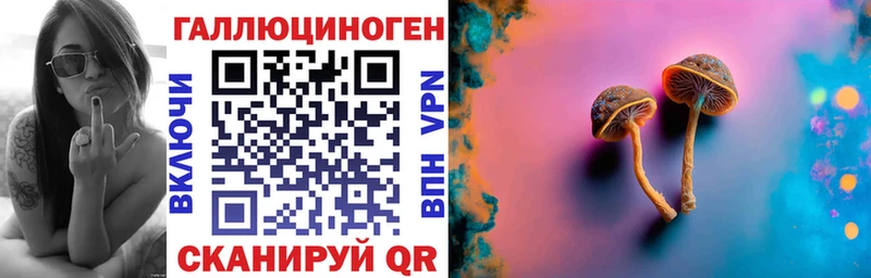 Псилоцибиновые грибы Psilocybe  что такое наркотик  omg ссылка  Гусиноозёрск 